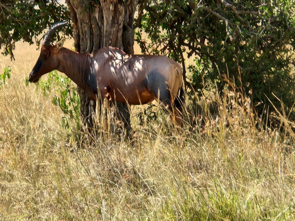 End of Kenya East Africa Project